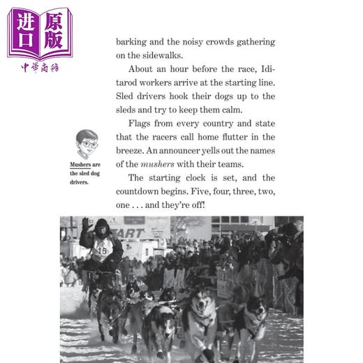 【中商原版】神奇树屋小百科34 Magic Tree House Fact Tracker 34 Dogsledding 英文原版进口图书 小初文学英语课外阅读 商品图2