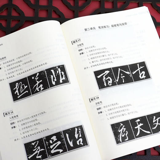 师范生三笔字教程 365个书写训练 毛笔硬笔粉笔 书法教程 篆书隶书楷书草书行书 每日书法练习课 正版华东师范大学出版社 商品图3