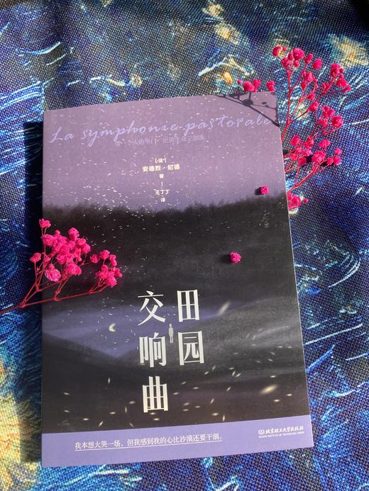 《每一个人的窄门：纪德生命三部曲（套封3册）》诺贝尔文学奖获得者、萨特和加缪的精神导师纪德作品！ 商品图8