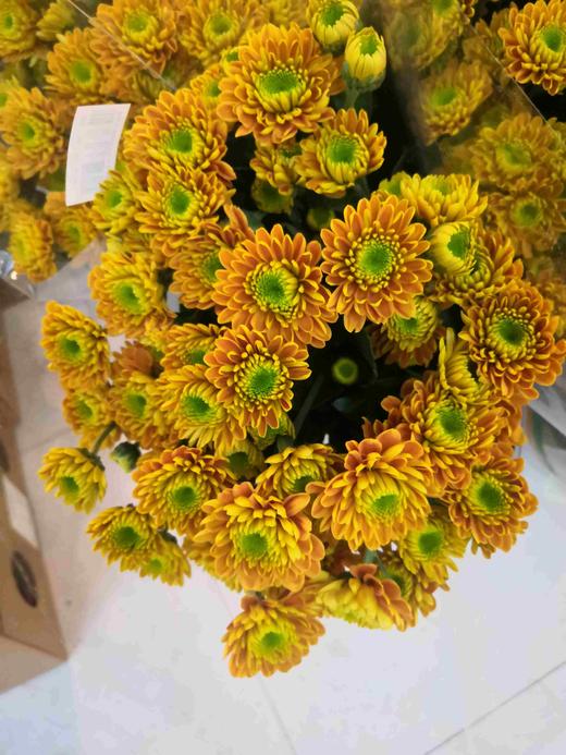 菊花-上海小菊-橘色-10枝 商品图0
