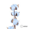 永生花材 ｜ 棉花蓝色 商品缩略图2