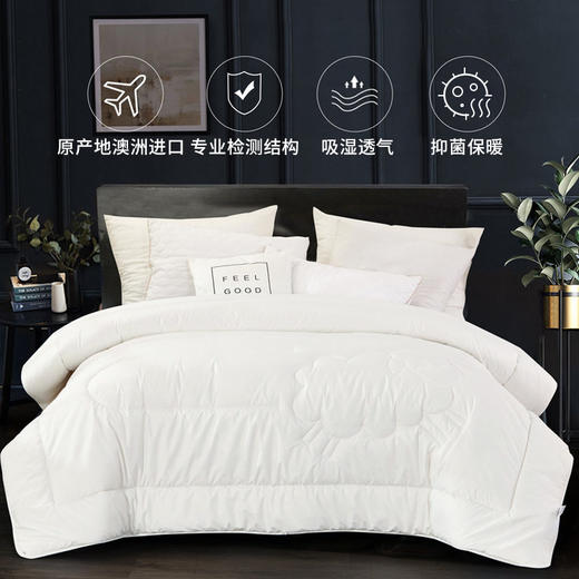 康尔馨 希尔顿澳洲进口100%羊毛暖阳被 商品图1