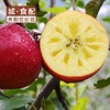 【福虎献瑞】威宁杨华冰心苹果 绿标认证 脆甜多汁 家庭实惠礼盒（二级约五斤）【GY】 商品缩略图2