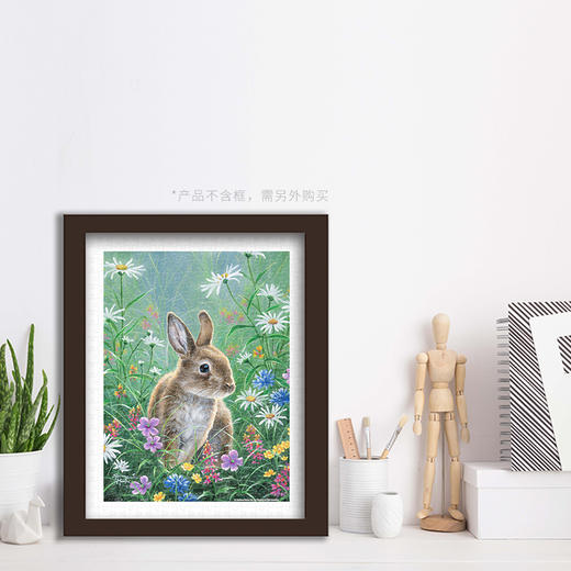 300片 平面拼图 塑料拼图 H2082 Abraham Hunter-小野兔 商品图3