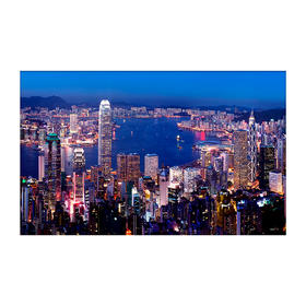 1000片 平面拼图 塑料拼图 H2089 维多利亚港夜景