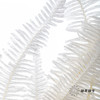 永生花材 ｜ 芒其叶白 商品缩略图1