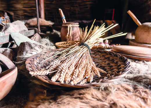 烹饪的起源 商品图10