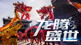 主题团建 · 龙腾盛世