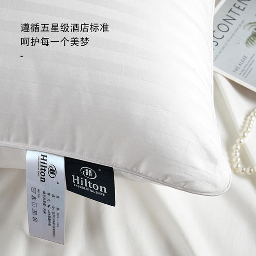 康尔馨 希尔顿抗菌纤柔枕 商品图3