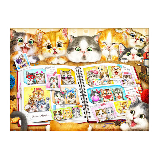 【折扣商品 不退不换】1200片 拍平面拼图 塑料拼图 H2051 Kayomi-猫咪们的回忆相簿 商品图0