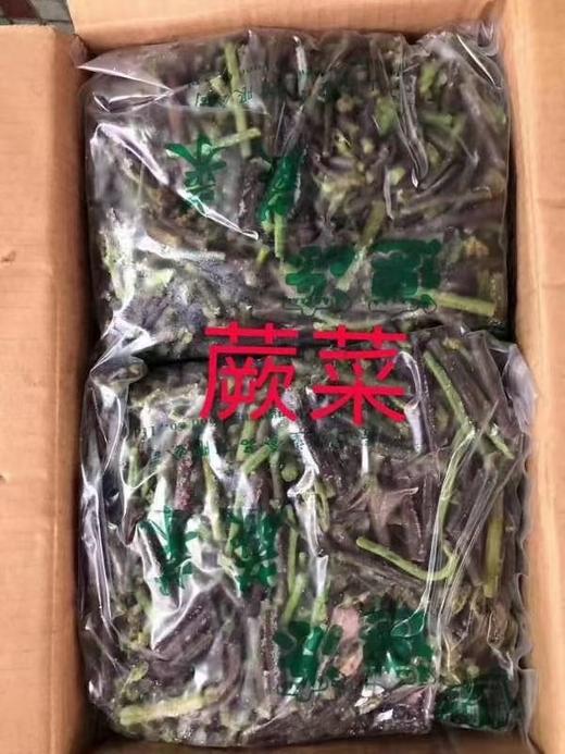 速冻蕨菜1千克/包 商品图2