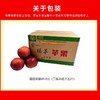 【福虎献瑞】威宁杨华冰心苹果 绿标认证 脆甜多汁 超值简装（二级约五斤）【GY】 商品缩略图5