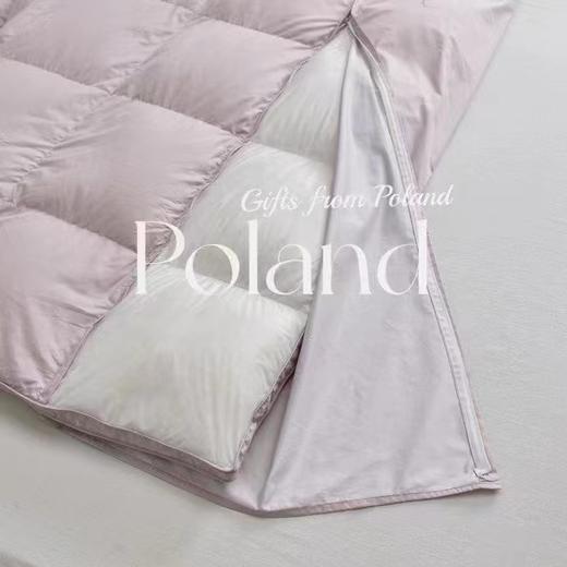 5F罗曼罗兰大米波兰进口可视鹅绒被 商品图0