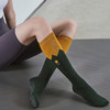 中筒袜秋冬运动瑜伽袜五指中高筒室内普拉提专用【1500】 商品缩略图5