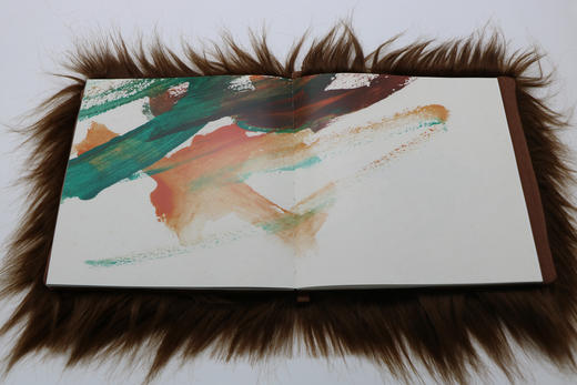 《我们不是野兽派》朱赢椿新作 一本展露三位红猩猩艺术家们内心世界的画集 商品图4