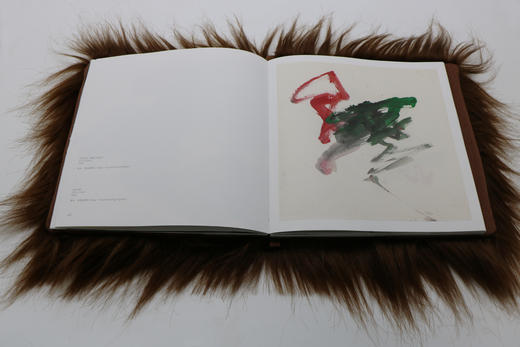 《我们不是野兽派》朱赢椿新作 一本展露三位红猩猩艺术家们内心世界的画集 商品图3