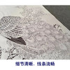 【有步骤】陈军工笔画白描底稿《雍容华贵》孔雀牡丹初学者临摹花鸟线稿CJ34 商品缩略图4