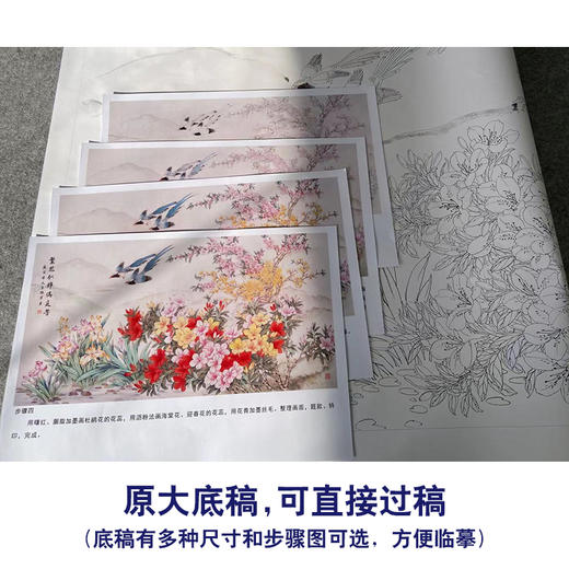 【有步骤】陈军横幅工笔画白描底稿《繁花似锦》蓝鹊杜鹃花初学者临摹花鸟线稿CJ16 商品图1