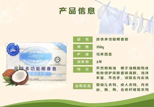 1F 战依多功能洗衣皂250g 商品图0