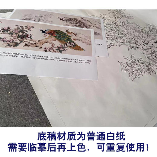 【有步骤】陈军横幅工笔画白描底稿《春融翠羽红满堂》孔雀海棠花初学者临摹花鸟线稿CJ35 商品图3