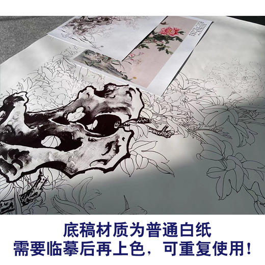 【有步骤】陈军工笔画白描底稿《群芳斗艳》牡丹蝴蝶初学者临摹花鸟线稿CJ13 商品图3
