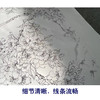 【有步骤】陈军工笔画白描底稿《春色满园》斑鸠海棠花初学者临摹花鸟线稿CJ15 商品缩略图4