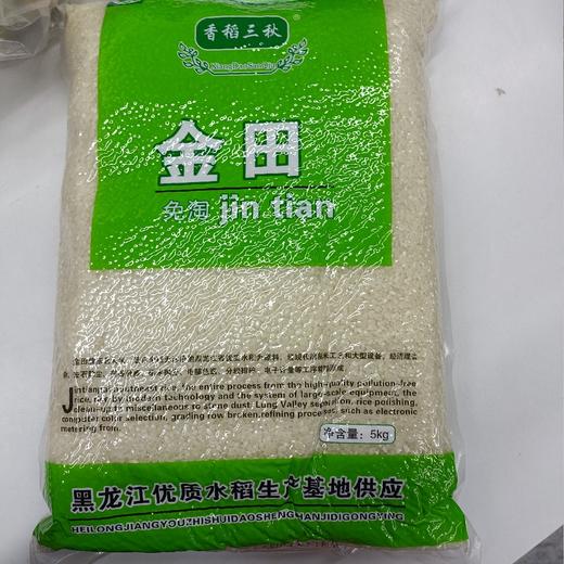 金田免淘大米5kg 商品图0