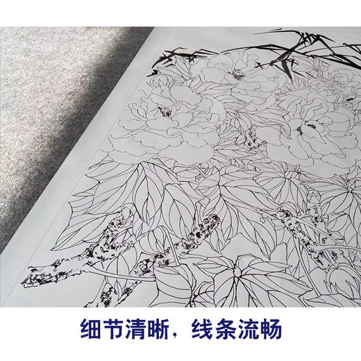 【有步骤】陈军四尺横幅工笔画白描底稿《水畔荣花》锦鸡初学者临摹花鸟线稿CJ19 商品图4