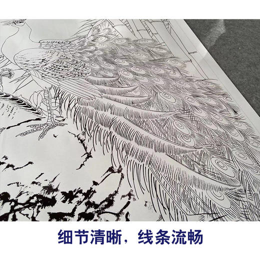 【有步骤】陈军工笔画白描底稿斗方小品《翠羽春华》孔雀牡丹初学者临摹花鸟线稿CJ36 商品图4