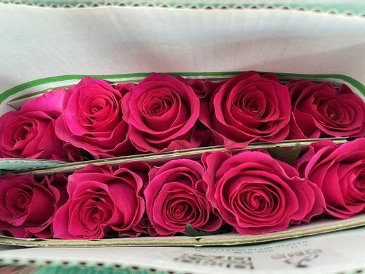 【昆明玫瑰】高胜（高盛）  20枝/扎  A级 商品图2