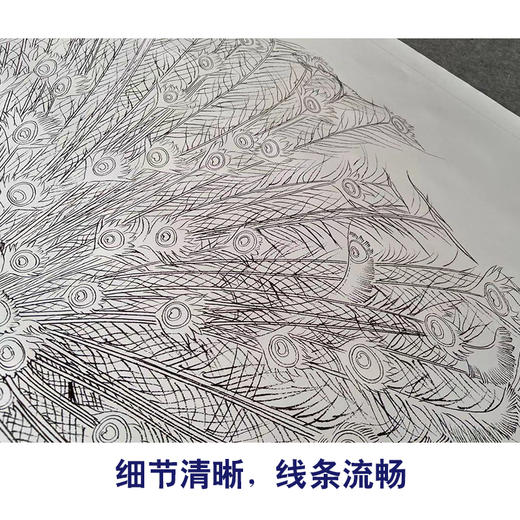 【有步骤】陈军四尺横幅工笔画白描底稿《孔雀开屏》孔雀初学者临摹动物线稿CJ38 商品图4
