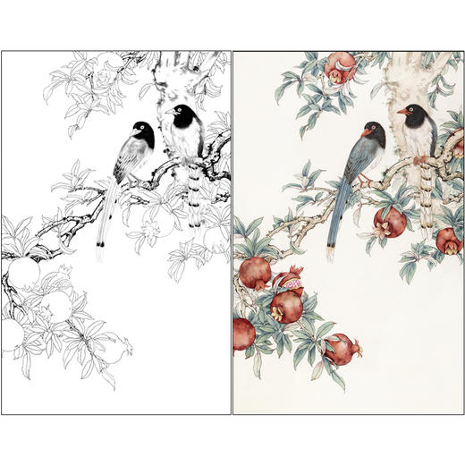 【有步骤】陈军工笔画白描底稿《金秋果实》石榴蓝鹊初学者临摹花鸟线稿CJ08 商品图0