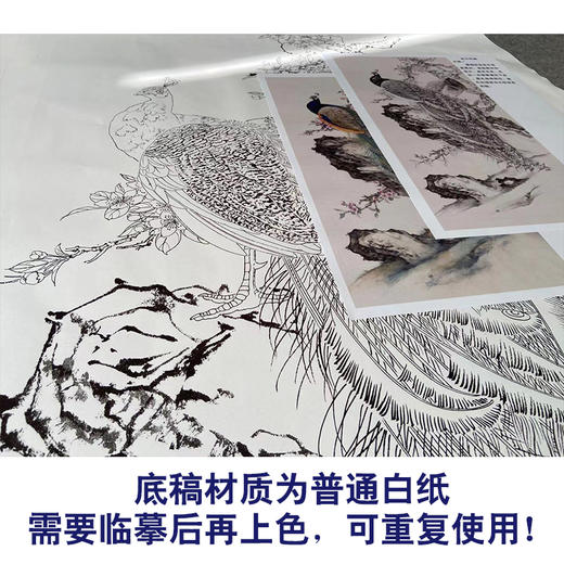 【有步骤】陈军工笔画白描底稿《春光明媚》孔雀初学者临摹花鸟线稿CJ31 商品图3
