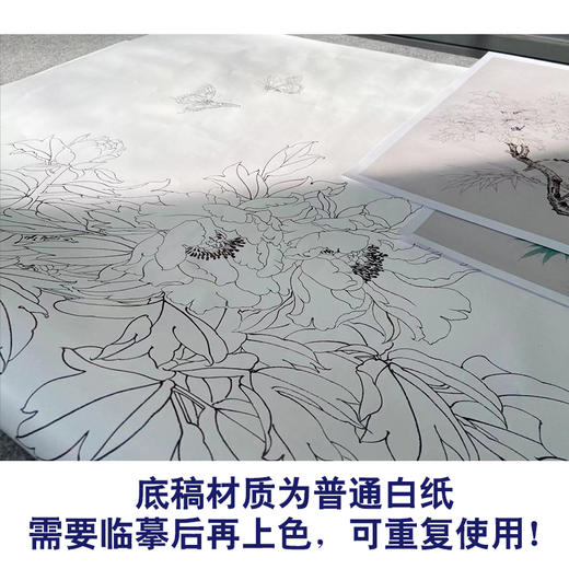 【有步骤】陈军四尺工笔画白描底稿《春意盎然》牡丹初学者临摹花鸟线稿CJ11 商品图3