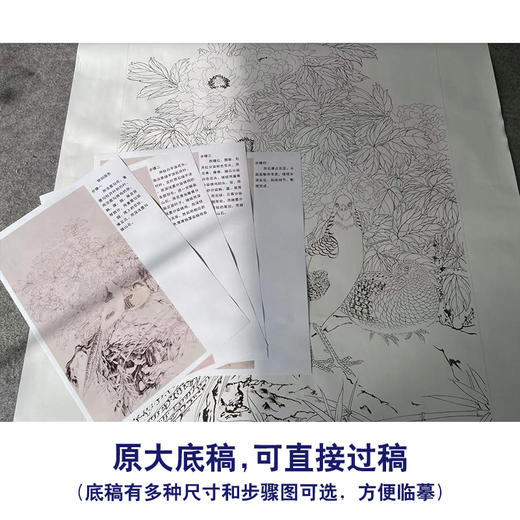 【有步骤】陈军工笔画白描底稿《锦羽国色》锦鸡牡丹初学者临摹花鸟线稿CJ26 商品图1