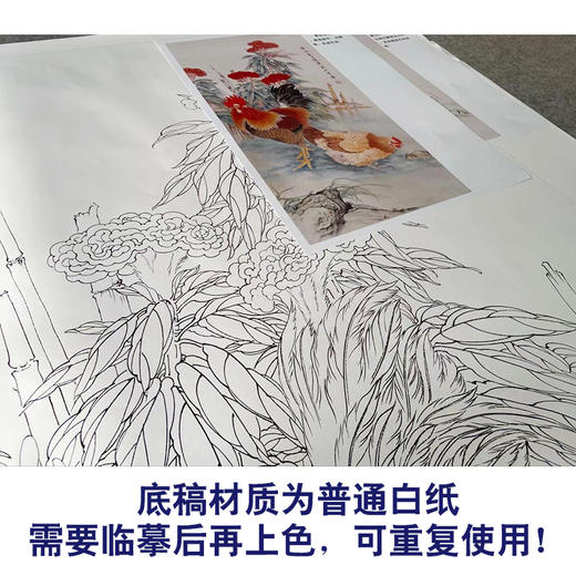 【有步骤】陈军四尺工笔画白描底稿《紫气迎祥》公鸡初学者临摹花鸟线稿CJ28 商品图3