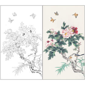 【有步骤】陈军四尺工笔画白描底稿《春意盎然》牡丹初学者临摹花鸟线稿CJ11