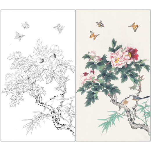 【有步骤】陈军四尺工笔画白描底稿《春意盎然》牡丹初学者临摹花鸟线稿CJ11 商品图0