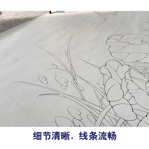 【有步骤】陈军横幅工笔画白描底稿《荷塘嬉戏》荷花翠鸟初学者临摹花鸟线稿CJ01 商品图4