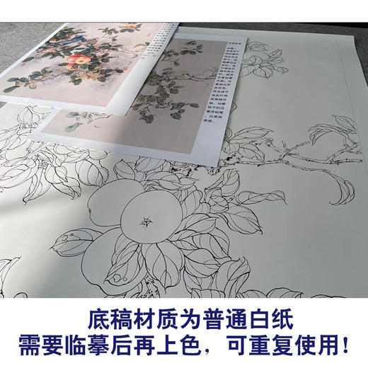 【有步骤】陈军工笔画白描底稿《佳果珍禽》桃花树小鸟初学者临摹花鸟线稿CJ18 商品图3
