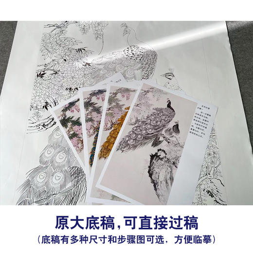 【有步骤】陈军四尺工笔画白描底稿《花开烂漫》孔雀初学者临摹花鸟线稿CJ32 商品图1