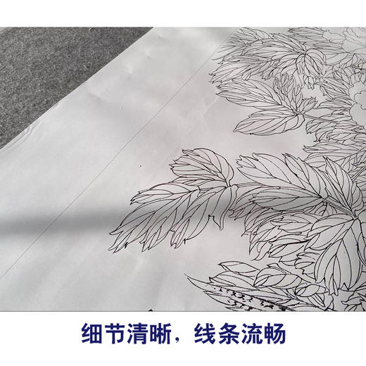 【有步骤】陈军工笔画白描底稿《锦羽国色》锦鸡牡丹初学者临摹花鸟线稿CJ26 商品图4