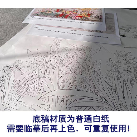 【有步骤】陈军横幅工笔画白描底稿《繁花似锦》蓝鹊杜鹃花初学者临摹花鸟线稿CJ16 商品图3