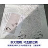【有步骤】陈军工笔画白描底稿《冠上加冠》公鸡牵牛花初学者临摹花鸟线稿CJ21 商品缩略图1