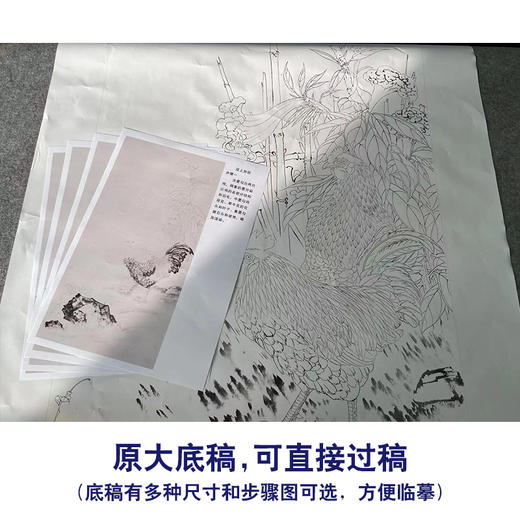 【有步骤】陈军工笔画白描底稿《冠上加冠》公鸡牵牛花初学者临摹花鸟线稿CJ21 商品图1