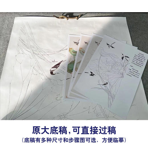 【有步骤】陈军四尺工笔画白描底稿《花间鸣唱》荷花鹡鸰鸟初学者临摹花鸟线稿CJ03 商品图1