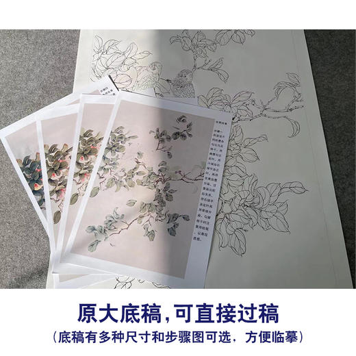 【有步骤】陈军工笔画白描底稿《佳果珍禽》桃花树小鸟初学者临摹花鸟线稿CJ18 商品图1