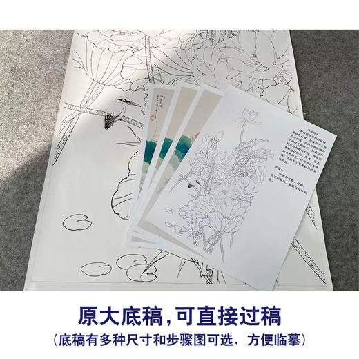 【有步骤、大彩图】陈军工笔画白描底稿《鸿运当头》荷花翠鸟初学者临摹花鸟线稿CJ02 商品图1