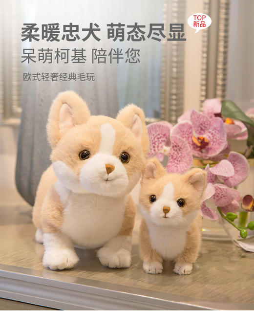 伽百利/Gabriel毛绒玩偶柯基小狗狗公仔玩具睡觉抱枕女孩礼物 商品图0
