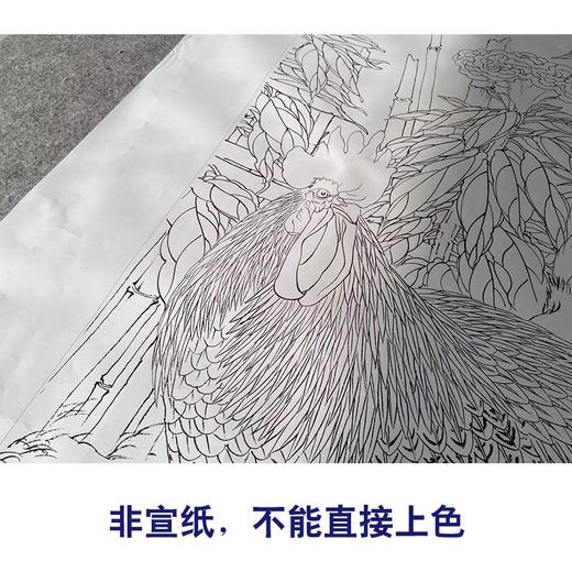 【有步骤】陈军四尺工笔画白描底稿《紫气迎祥》公鸡初学者临摹花鸟线稿CJ28 商品图2